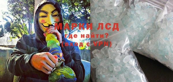 гидра Чегем