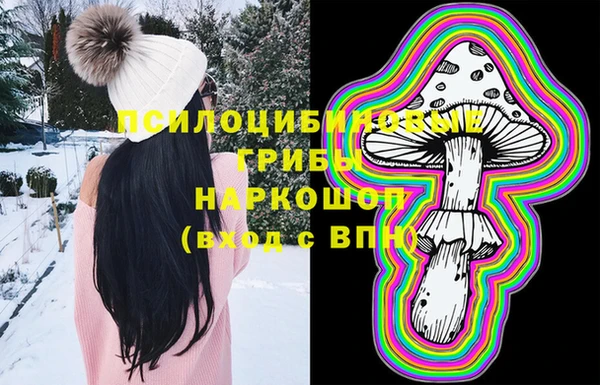 дурь Алексеевка