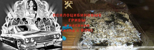 соль ск Абинск