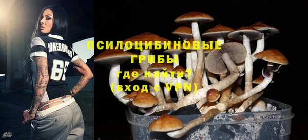 метадон Абаза