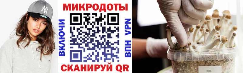 Галлюциногенные грибы прущие грибы  Черемхово 