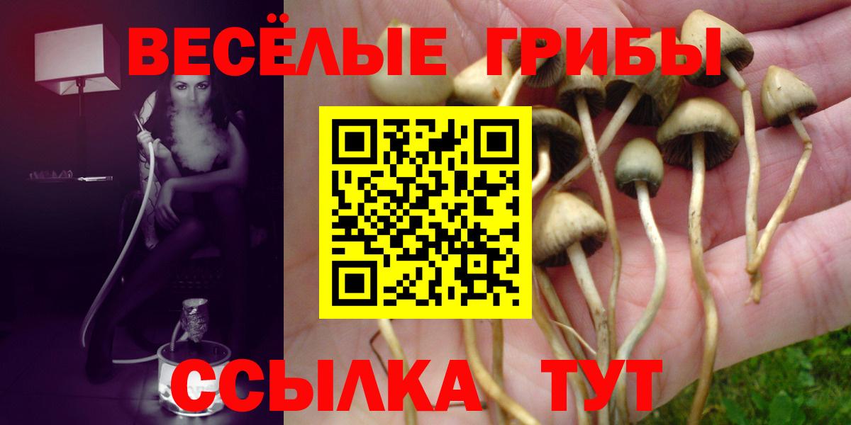 магазин    Галлюциногенные грибы Cubensis  Вход с VPN  Черемхово 